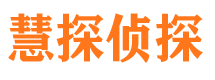 苍山寻人公司